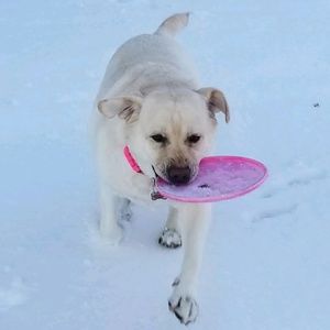 Meet your Posher, Sie